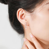 Factory Wholesale Genuine 925 Sterling Silver Earrings Collection Zirconia CZ Exquisite Stud Earrings for Fine Jewelry Gifts