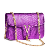 👜 Luxury Y2K Shoulder Bag – Black V Chain 2026